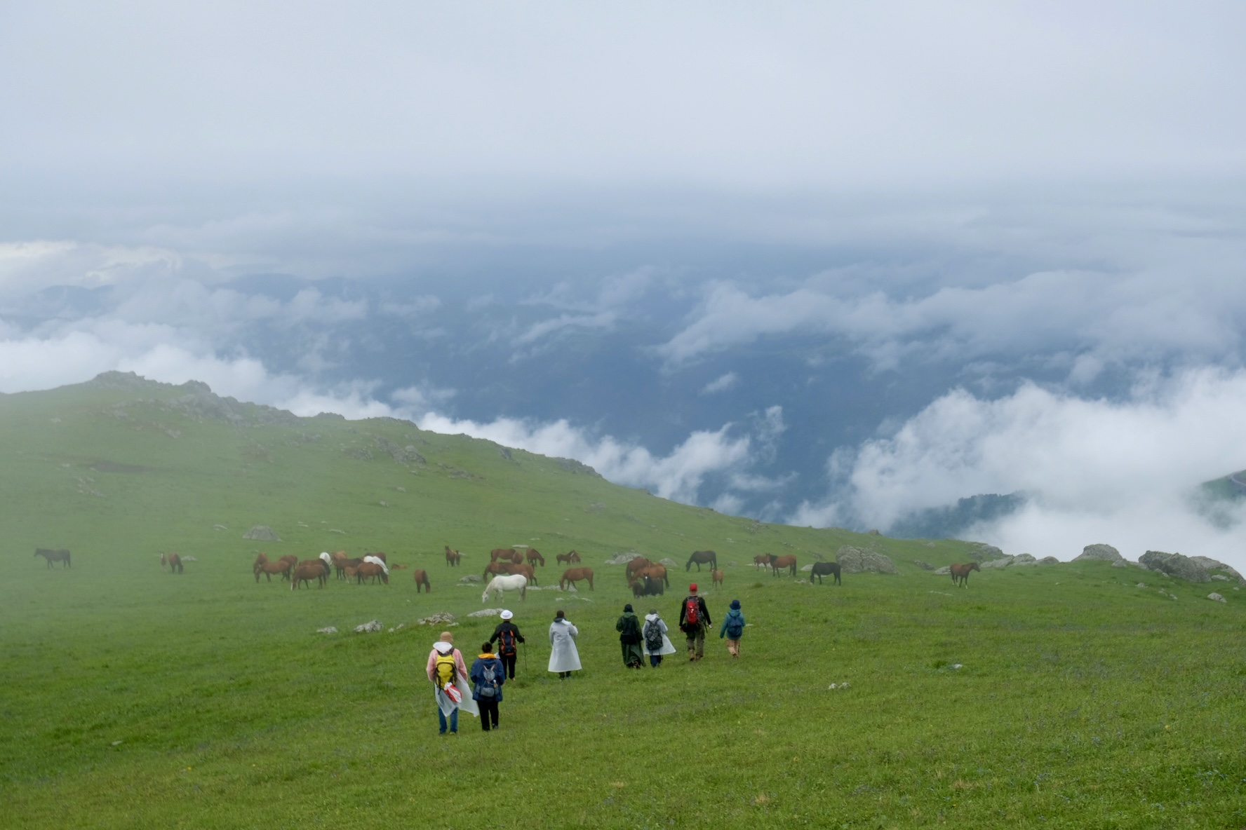 Hikers crossing a misty green highland beneath low clouds